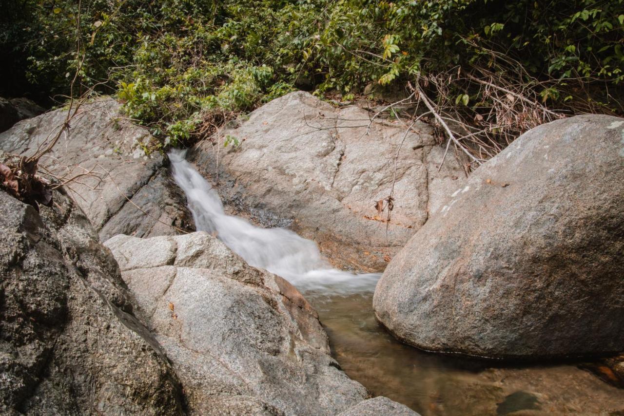 Serrano Tayrona Lodge El Zaino Luaran gambar
