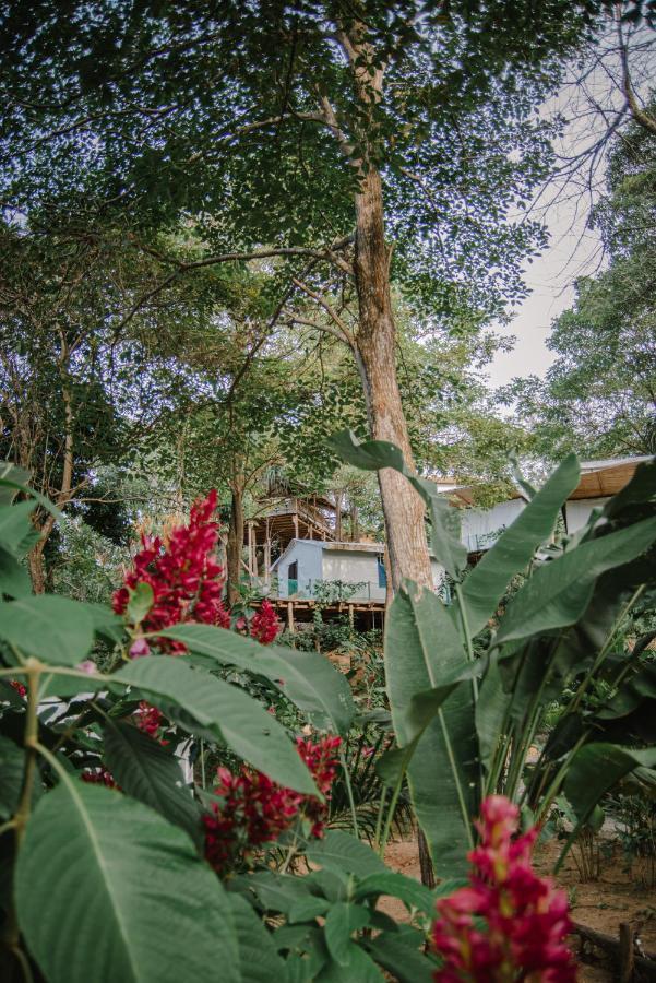 Serrano Tayrona Lodge El Zaino Luaran gambar