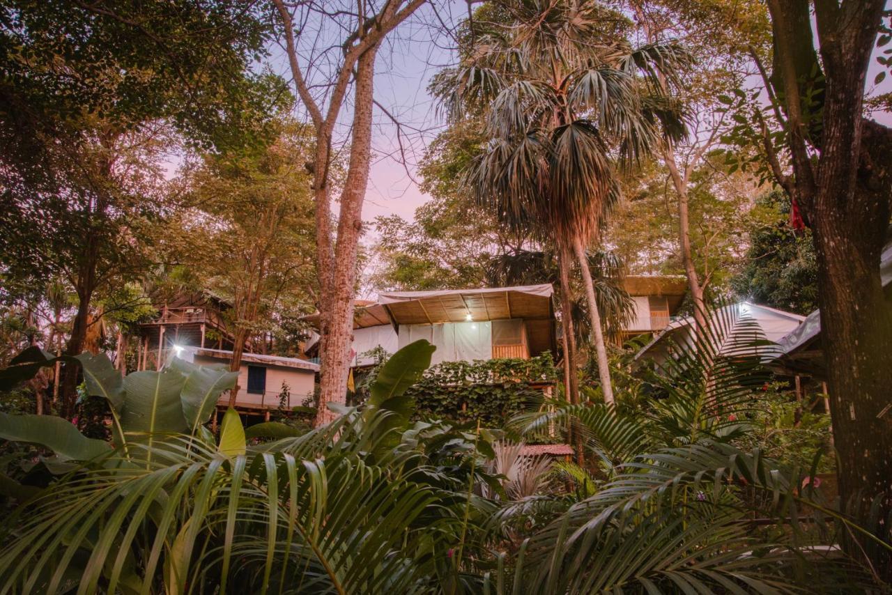 Serrano Tayrona Lodge El Zaino Luaran gambar