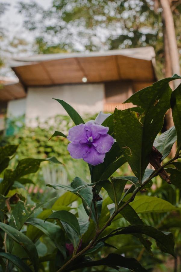 Serrano Tayrona Lodge El Zaino Luaran gambar